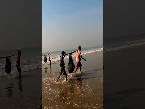 Sea Beach Beauty #bhoomi #bengalishorts #folksong #please like 👍 subscribe 🙏🙏🙏
