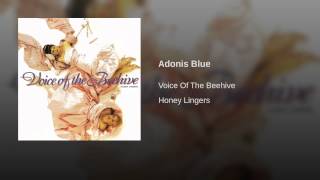 Adonis Blue