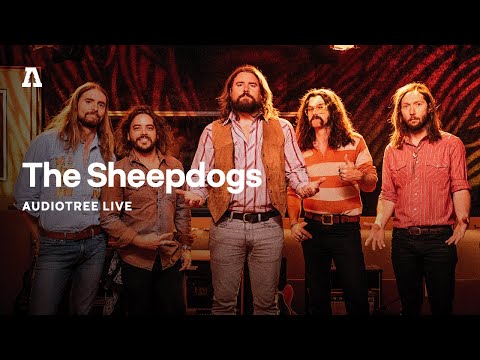 The Sheepdogs on Audiotree Live (Full Session #2)