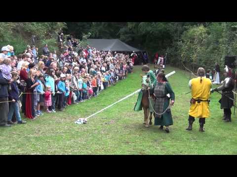 Burg Wilhelmstein 2013