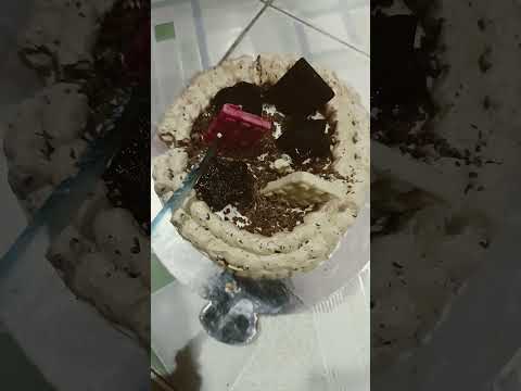 INSIDE THE CAKE 🎂