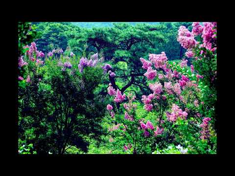 Eric Heitmann & Amy Wallace - Memories (Ambient)