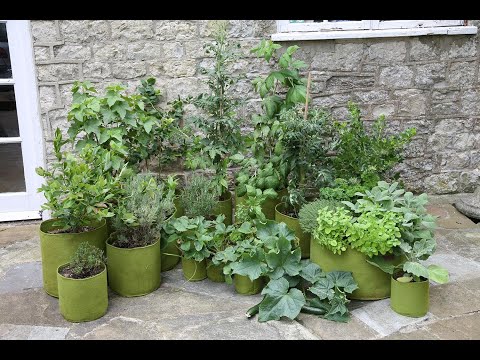 Vigoroot Pflanztaschen von Haxnicks