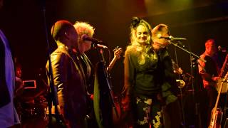 Poi Dog Pondering &quot;Jackass Ginger&quot;