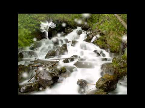 Earth Ways with Sonja Grace - The Devic Kingdom