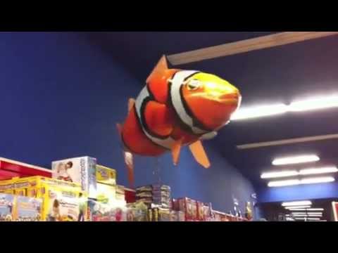 Bayview & Air Swimmers.MOV