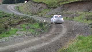 preview picture of video 'WRC Wales Rally GB 2013 - Sweet Lamb 2 SS8'
