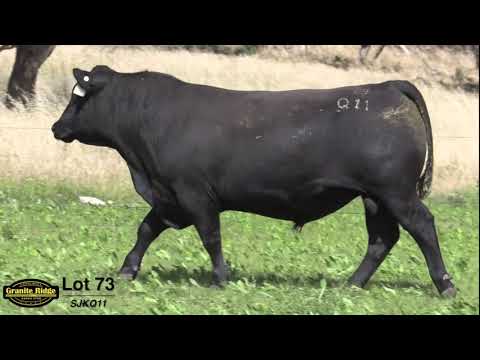 GRANITE RIDGE QUICKSILVER Q11