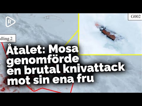 Åtalet: Brutal knivattack mot ena frun | Östersund