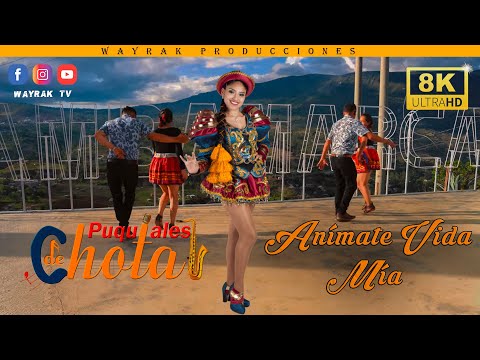LOS PUQUIALES DE CHOTA - ANÍMATE VIDA MÍA