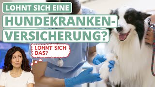 Lohnt sich eine Hundekrankenversicherung?