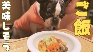 【うちの子記念日Part2】ドギーズアイランドで愛犬とビュッフェ楽しみました🥰