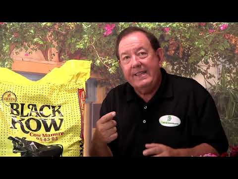 Ask Mr Greenthumb Video Podcast 7 "Black Kow".
