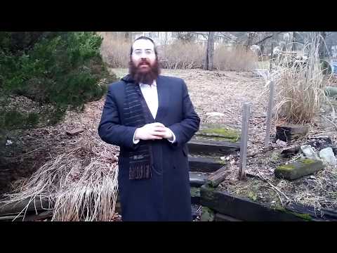 Parshas Vayechi 5777 - Rabbi Aryeh Royde