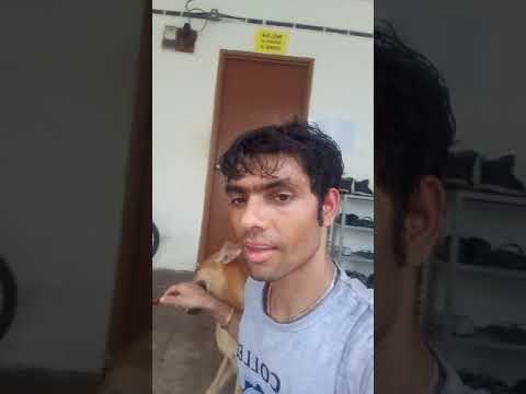 hernu hos 1 nepali bahadur bides ma janwar sanga khelna ani ramauna sakxan aachama