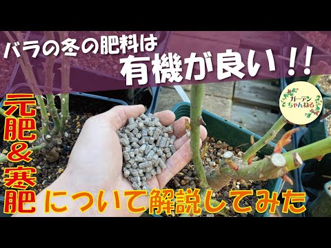 冬に肥料を与える植物はどれですか?肥料の種類と使い方は？  庭園