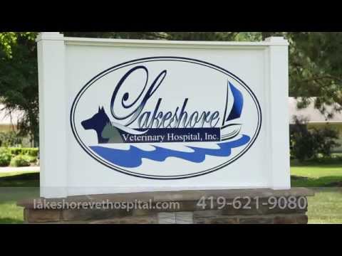 download lagu mp3 mp4 Lakeshore Veterinary Clinic, download lagu Lakeshore Veterinary Clinic gratis, unduh video klip Lakeshore Veterinary Clinic