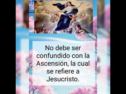 2 ASUNCIÓN DE NUESTRA MADRE SANTÍSIMA