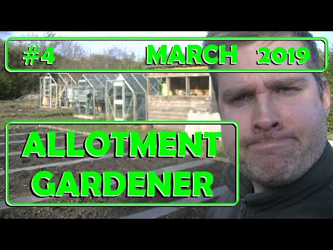 Allotment Garden 2019 #4 - Collecting rainwater - Building greenhouse - Being daft.