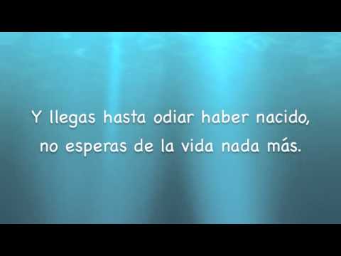 Cilindrero video