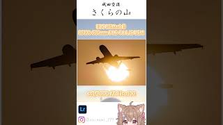 ひこうき撮影記01