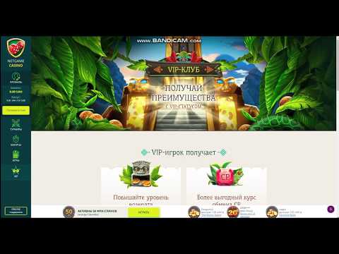 Обзор онлайн казино NetGame