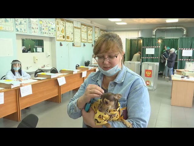 В Казани открыты четыре dog-friendly избирательных участка