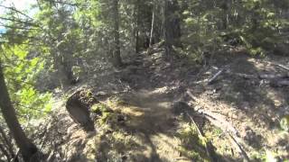 riding pemberton 54-40