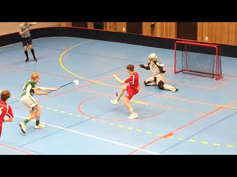20230331 HJ Lerum - Zenith goals