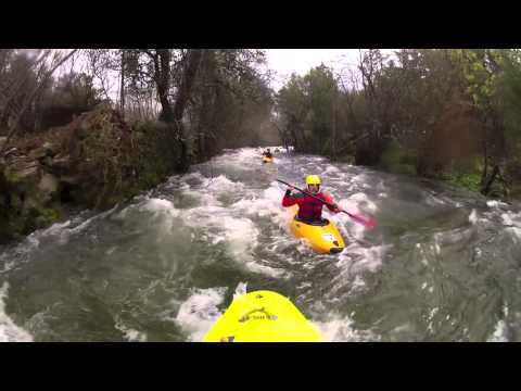 Um Micróbio no Vez [HD]