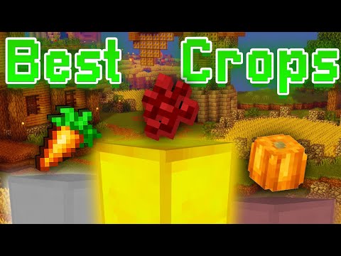 BEST CROPS TO FARM FOR MONEY IN HYPIXEL SKYBLOCK!