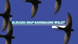 Download lagu SI.SUARA INAP RANGSANG WALET (LINK LANGSUNG DOWNLOAD MP3  DI DESKRIPSI DIBAWAH INI) mp3