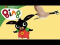 Bing's Little Learnings | Episodes 5-1 | Bing English
