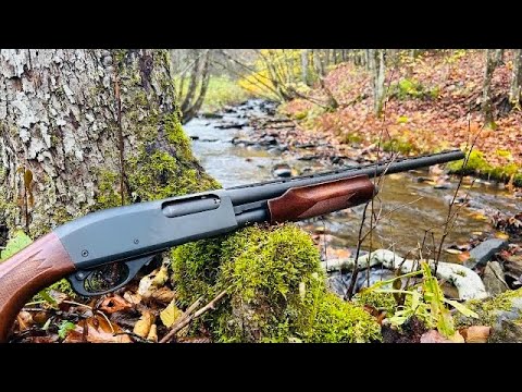 Rainy Day Grouse Hunt