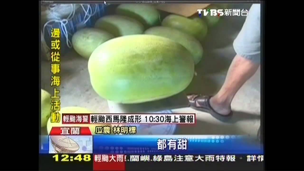 西瓜節停辦!中南部減產 五結瓜賣光