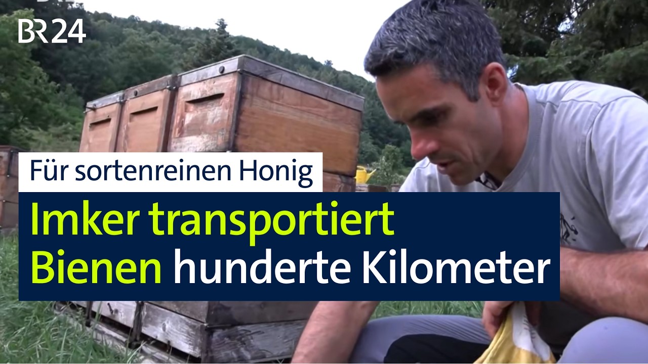Imker: Schlaflose Nächte für sortenreinen Honig | Abendschau | BR24