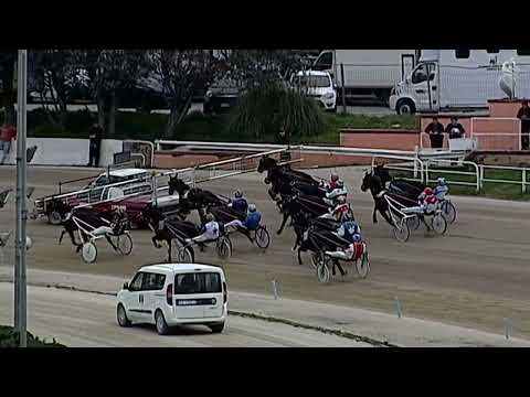 Aversa trotto 25 Febbraio 2023 - 5° Corsa