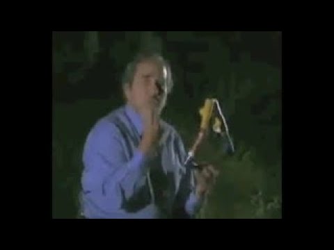 Bruce Lipton The Biology of Perception