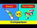 Kerala Vs Tamil Nadu Full State Comparison 2024 Tamil Nadu Vs Kerala State Comparison