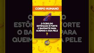 Capa de Corpo Humano #03