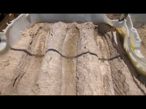 May 4th. still unsure about iavs / sandponics