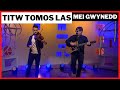 Mei Gwynedd Titw Tomos Las