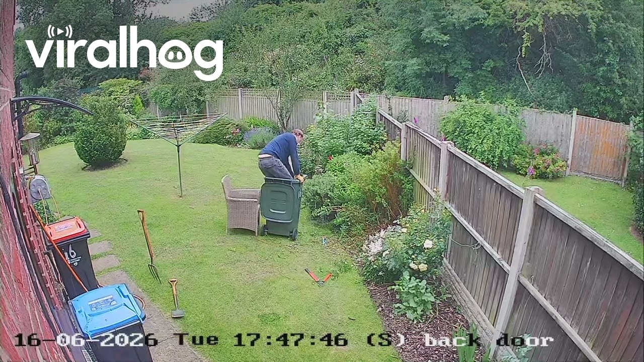 When I told my girlfriend I'd fallen over in a Wheely bin, her first question was || ViralHog