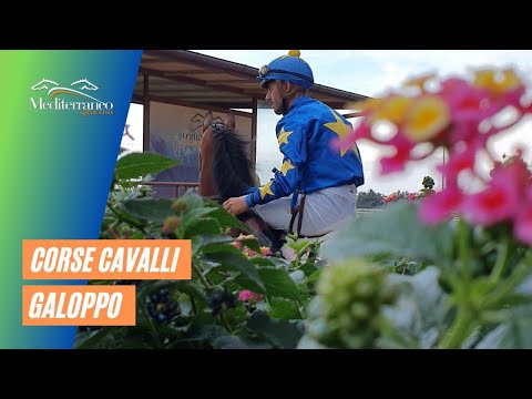 Corse cavalli di Galoppo del 15 Gennaio 2022