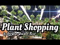 PLANT SHOPPING GARDEN CENTER TOUR 14th Street Garden Center Jersey City