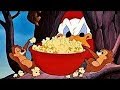 ᴴᴰ Pato Donald Y Chip Y Dale Dibujos Animados Pluto Mickey Mouse Episodios Completos Nuevo 2018