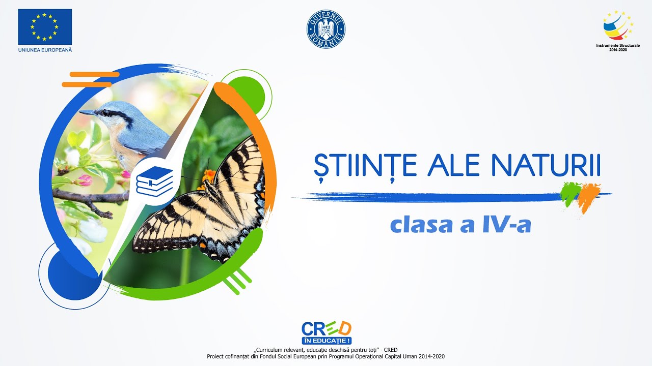 Watch Ciclul De Viata Al Plantelor Now Ciclul de via?? al plantelor