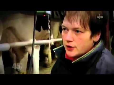 Die Milch-Lüge ~ Ein Bruchteil der ganzen Wahrheit wird hier gezeigt !.mp4