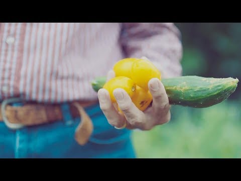 A Real Chance to Make a Substantial Change