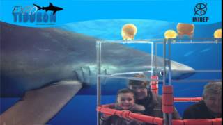 DIA 3 Expo Tiburon81